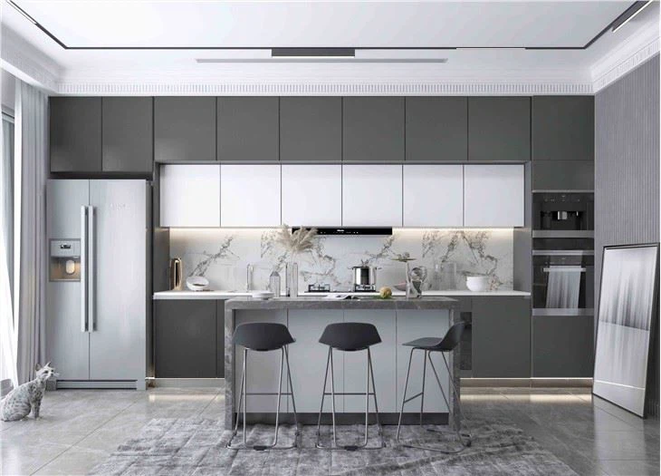 Contemporary Polyester Kitchen Cabinets
